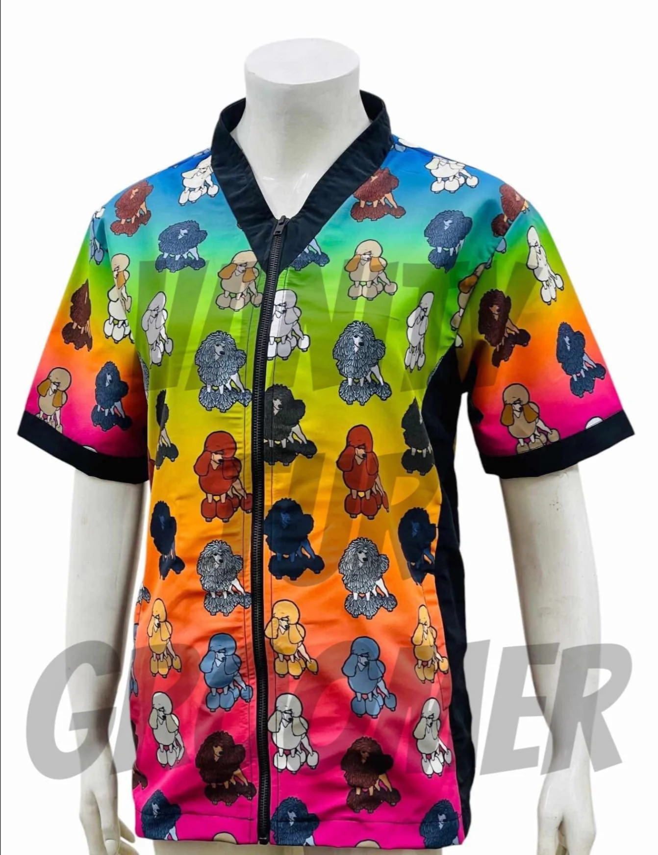 Rainbow ivy fox poodle smock — Vanity Fur Grooming